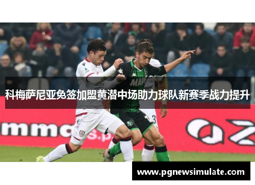 科梅萨尼亚免签加盟黄潜中场助力球队新赛季战力提升
